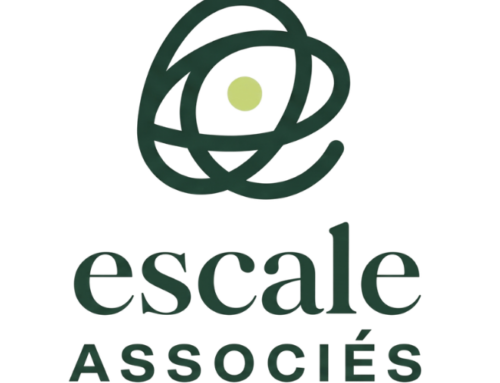 L’Escale Associés : un séminaire pour renforcer votre relation et votre projet commun